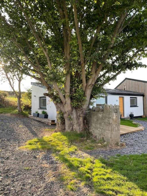 Tranquil, Secluded, Rural Cottage For Two Beaumaris Eksteriør billede