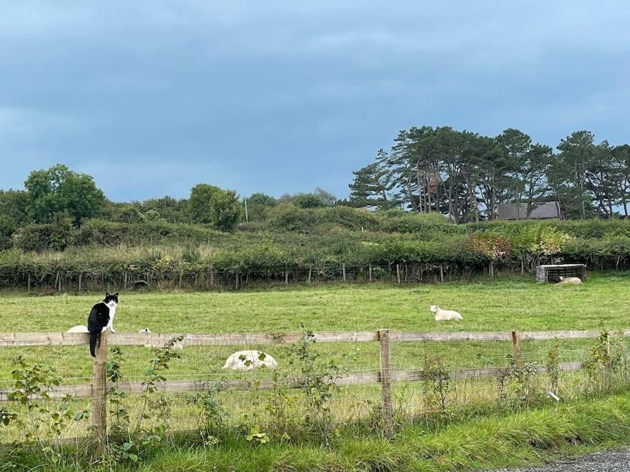 Tranquil, Secluded, Rural Cottage For Two Beaumaris Eksteriør billede