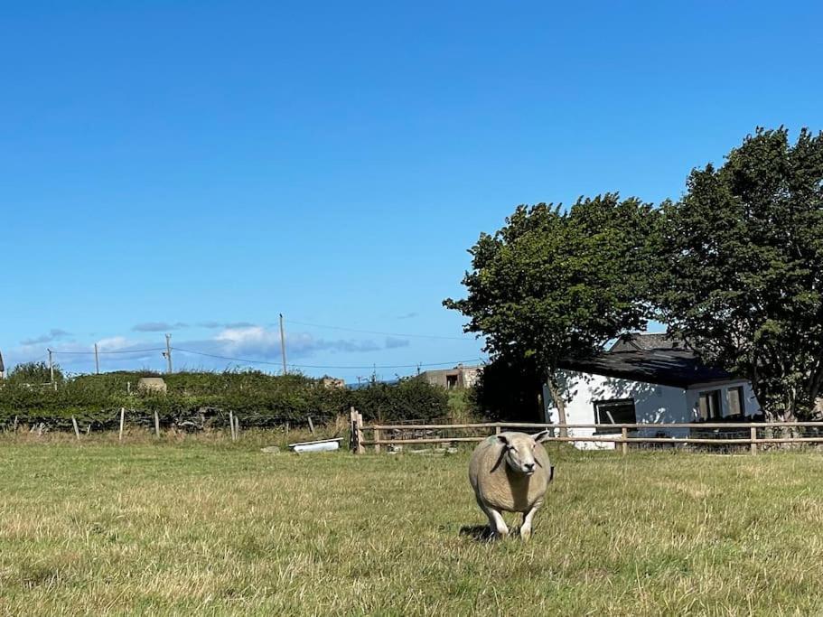 Tranquil, Secluded, Rural Cottage For Two Beaumaris Eksteriør billede
